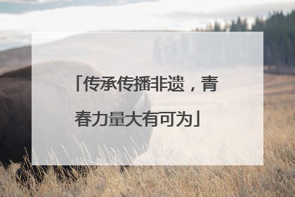 传承传播非遗，青春力量大有可为
